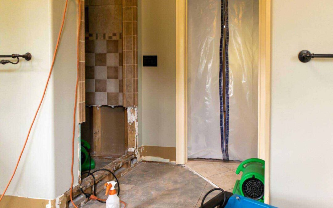 Choose Mold Remediation for a Healthier Home Environment