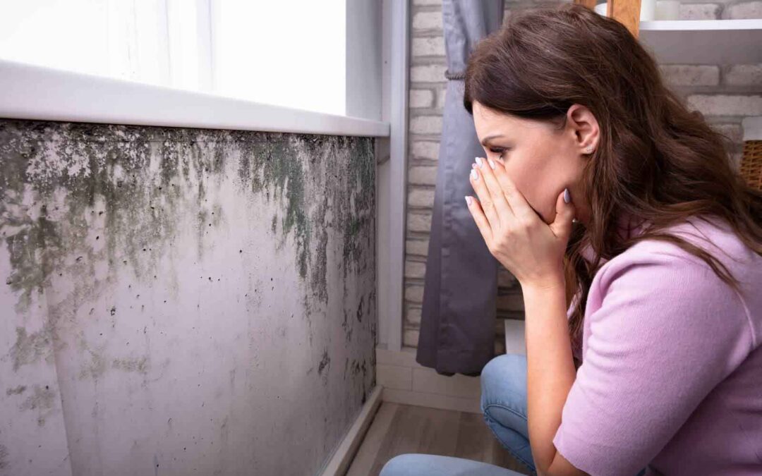 5 Most Common Types of Mold Found in Oregon and Washington Houses