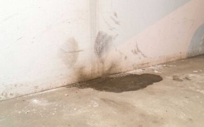 Common Causes of Ground Water Damage and How to Address Them