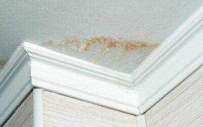 Early Warning Signs of Water Damage in Your Home