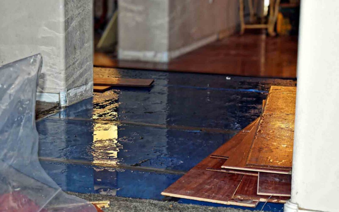 The Role of Modern Technology in Water Damage Restoration