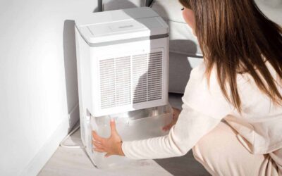 Top Mold Prevention Tips for Humid Environments